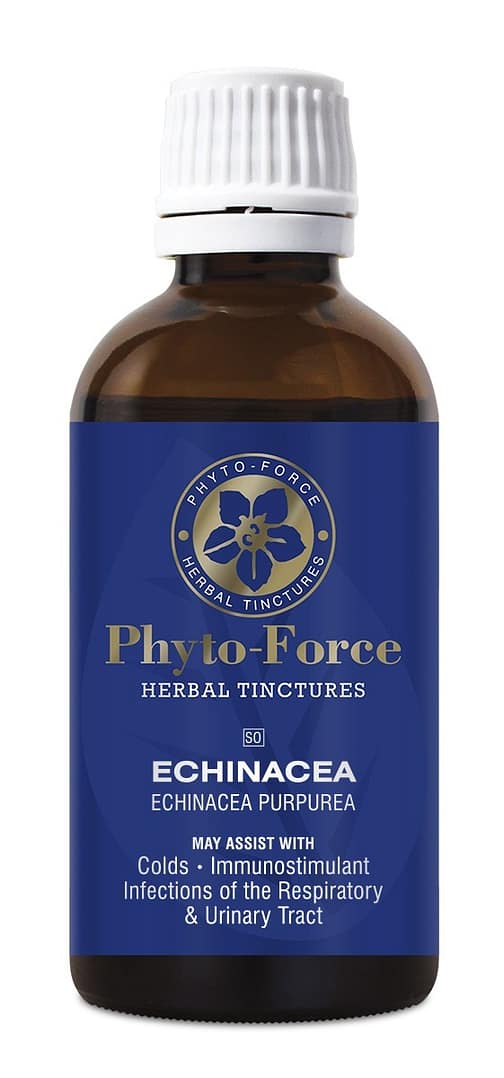 Echinacea Tincture 50ml